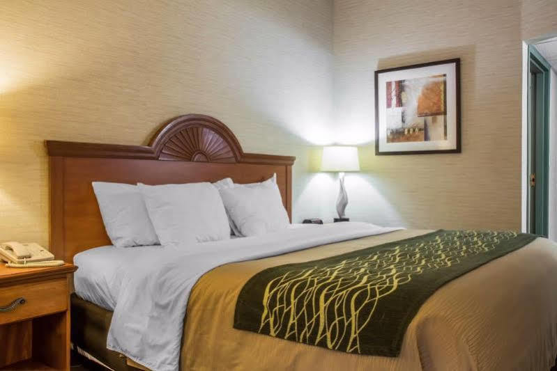 Quality Inn & Suites Менсфілд Екстер'єр фото