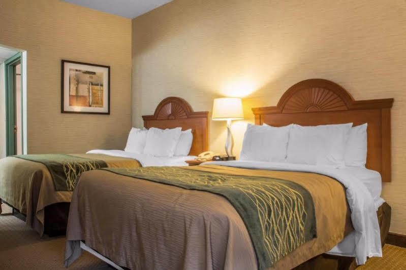 Quality Inn & Suites Менсфілд Екстер'єр фото